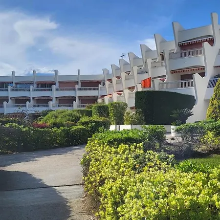 Le Cormoran Sur Le Port De Plaisance *