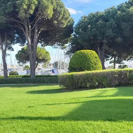 Le Cormoran Sur Le Port De Plaisance